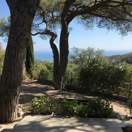 Straccoligno Capoliveri (Isola d'Elba)
