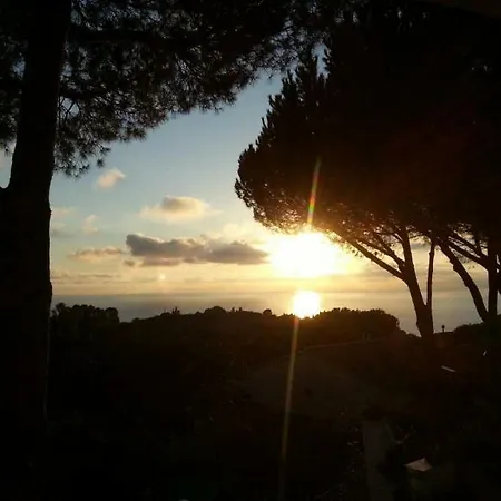 Straccoligno *